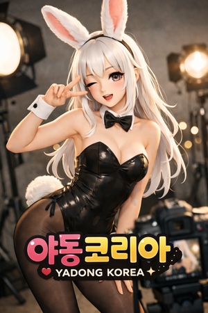 야동코리아 캐릭터